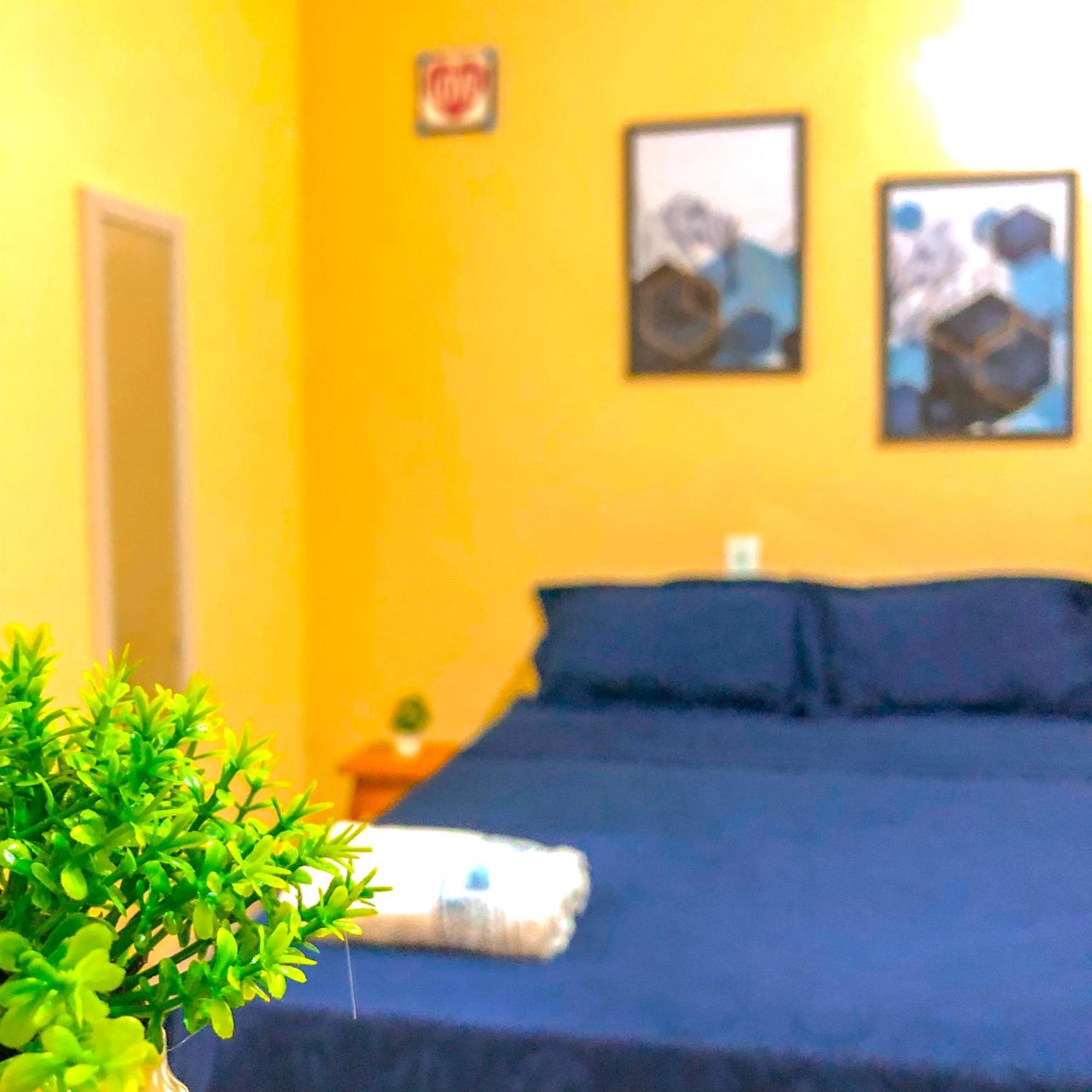 Pousada Casa Do Ivo Santarem Ngoại thất bức ảnh